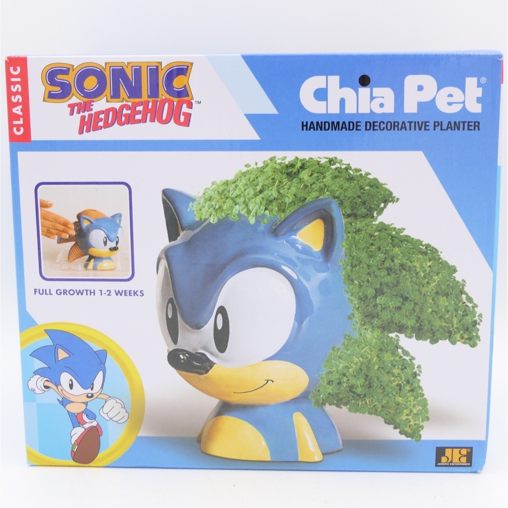 Chia Pet Sonic The Hedgehog Handmade Decorative Terracotta Pottery Planter 10/26